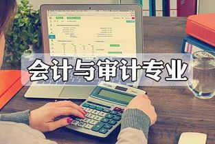 会计与审计专业竞争态势分析 审计及税务服务领域的角逐