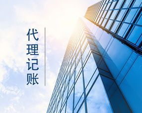 廊坊小公司代理记账 专业会计服务的明智之选